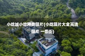 小吃城小吃种类图片(小吃图片大全高清图片 一条街)