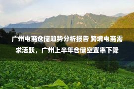 广州电商仓储趋势分析报告 跨境电商需求活跃，广州上半年仓储空置率下降