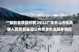 **镇创业项目招聘 2022广东中山市东凤镇人民政府基层公共就业创业服务岗位吸纳高校毕业生招聘1人公告