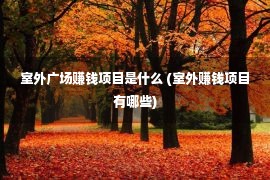 室外广场赚钱项目是什么 (室外赚钱项目有哪些)