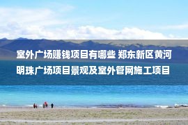 室外广场赚钱项目有哪些 郑东新区黄河明珠广场项目景观及室外管网施工项目 招标公告