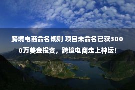 跨境电商命名规则 项目未命名已获3000万美金投资，跨境电商走上神坛！