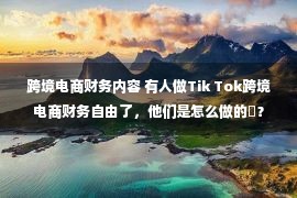 跨境电商财务内容 有人做Tik Tok跨境电商财务自由了，他们是怎么做的​？