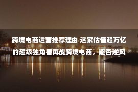 跨境电商运营推荐理由 这家估值超万亿的超级独角兽再战跨境电商，能否逆风翻盘 ？