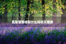 凤梨营养搭配什么好吃又营养 