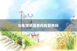 乌龟煲汤营养吗有营养吗 