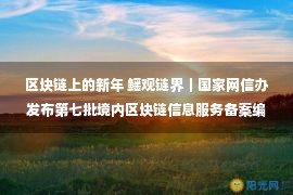 区块链上的新年 鳐观链界｜国家网信办发布第七批境内区块链信息服务备案编号