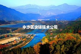 中沙区块链技术公司 