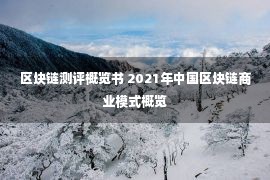 区块链测评概览书 2021年中国区块链商业模式概览