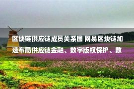 区块链供应链成员关系图 网易区块链加速布局供应链金融、数字版权保护、数字身份三大方向