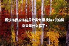 区块链供应链成员分类为 区块链+供应链究竟是什么样子？