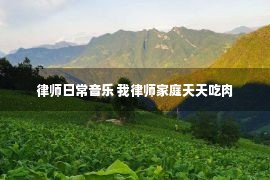 律师日常音乐 我律师家庭天天吃肉