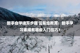 新手自学速写步骤 云易绘教育：新手学习素描有哪些入门技巧？