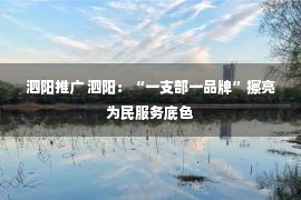 泗阳推广 泗阳：“一支部一品牌”擦亮为民服务底色