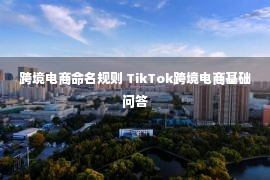 跨境电商命名规则 TikTok跨境电商基础问答