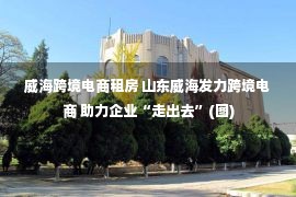 威海跨境电商租房 山东威海发力跨境电商 助力企业“走出去”(图)