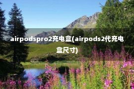 airpodspro2充电盒(airpods2代充电盒尺寸)