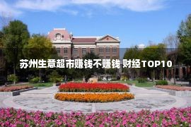 苏州生意超市赚钱不赚钱 财经TOP10