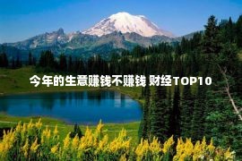 今年的生意赚钱不赚钱 财经TOP10