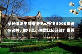 菜场做啥生意赚钱快又赚钱 5000块钱在农村，做什么小生意比较赚钱？推荐一些