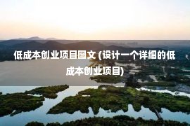 低成本创业项目图文 (设计一个详细的低成本创业项目)