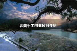 北美手工创业项目介绍 