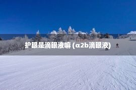 护眼是滴眼液嘛 (α2b滴眼液)