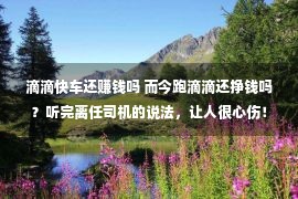 滴滴快车还赚钱吗 而今跑滴滴还挣钱吗？听完离任司机的说法，让人很心伤！