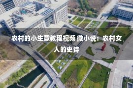 农村的小生意教程视频 微小说：农村女人的史诗