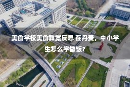 美食学校美食教案反思 在丹麦，中小学生怎么学做饭？