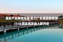 美发产品跨境电商 助力广东美丽新经济 ITOE美容美发线上展开启