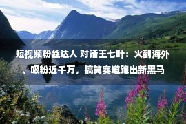 短视频粉丝达人 对话王七叶：火到海外、吸粉近千万，搞笑赛道跑出新黑马