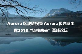 Aurora 区块链视频 Aurora极光链出席2018“链接未来”高峰论坛