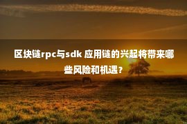 区块链rpc与sdk 应用链的兴起将带来哪些风险和机遇？