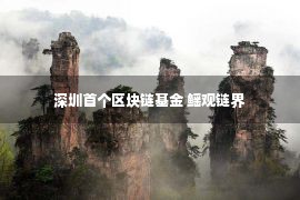 深圳首个区块链基金 鳐观链界