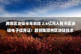 跨境区块链半年总结 2.6亿元人民币区块链电子信用证！鞍钢集团将区块链技术应用于人民币跨境结算