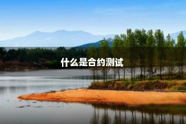 什么是合约测试 