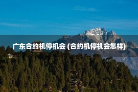 广东合约机停机会 (合约机停机会怎样)