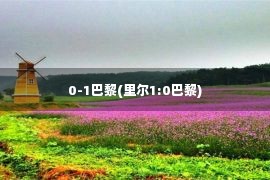 0-1巴黎(里尔1:0巴黎)