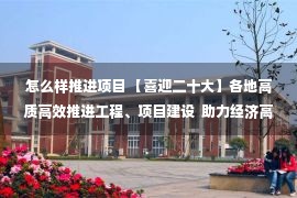 怎么样推进项目 【喜迎二十大】各地高质高效推进工程、项目建设  助力经济高质量发展