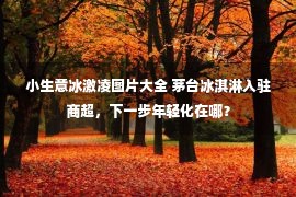 小生意冰激凌图片大全 茅台冰淇淋入驻商超，下一步年轻化在哪？