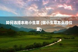 如何选择本地小生意 (做小生意怎么选位置)