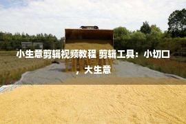 小生意剪辑视频教程 剪辑工具：小切口，大生意