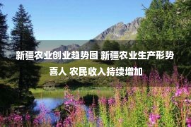 新疆农业创业趋势图 新疆农业生产形势喜人 农民收入持续增加