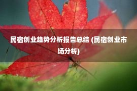 民宿创业趋势分析报告总结 (民宿创业市场分析)