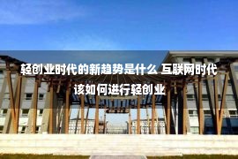 轻创业时代的新趋势是什么 互联网时代该如何进行轻创业