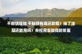 不粘锅经验 不粘锅有毒还致癌？掉了涂层还能用吗？央视用实验得到答案