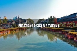 NFT经验分享(NFT教程)