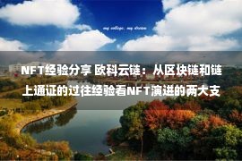 NFT经验分享 欧科云链：从区块链和链上通证的过往经验看NFT演进的两大支柱