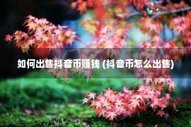 如何出售抖音币赚钱 (抖音币怎么出售)